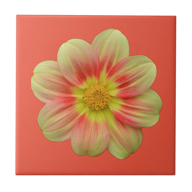 Azulejo flor de dalia naranja y amarilla (Frente)