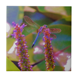 Azulejo Flor de fucsia y mosca de dragón