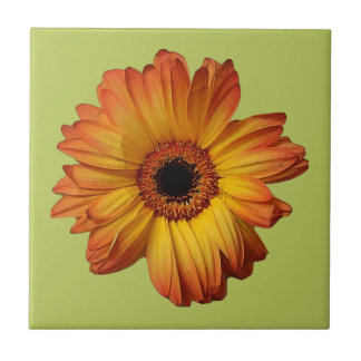 Azulejo Flor de gerbera Naranja soleado