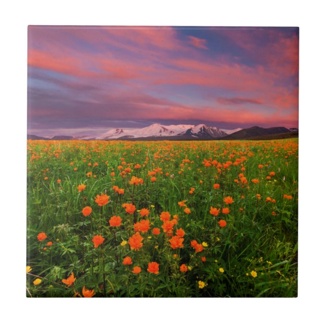 Azulejo Flor de globo floreciente (Frente)