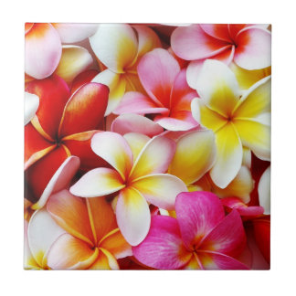 Azulejo Flor de Hawaii del Frangipani del Plumeria