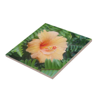 Azulejo Flor de Hibisco Naranja con Helechos
