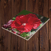 Flor de Hibiscus Bloom
