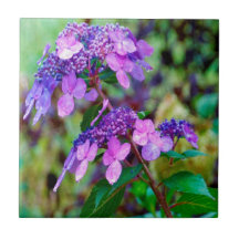Flor de Hortensia Morada Twist and Shout