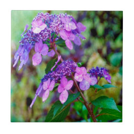 Azulejo Flor de Hortensia Morada Twist and Shout