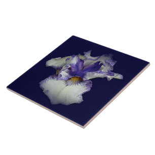 Azulejo Flor de Iris barbudo azul y blanco