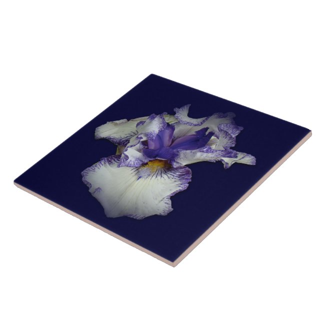 Azulejo Flor de Iris barbudo azul y blanco (Lado)