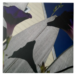 Azulejo Flor de la correhuela