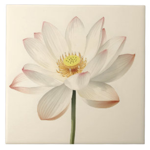 Azulejo Flor de loto blanca