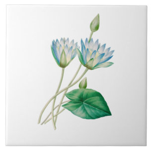 Azulejo Flor de Loto Egipcia Vintage