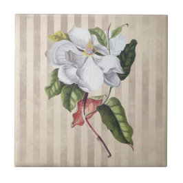 Azulejo Flor de magnolia vintage en rayas