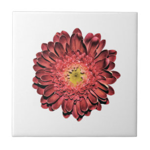 Azulejo Flor de margarita roja