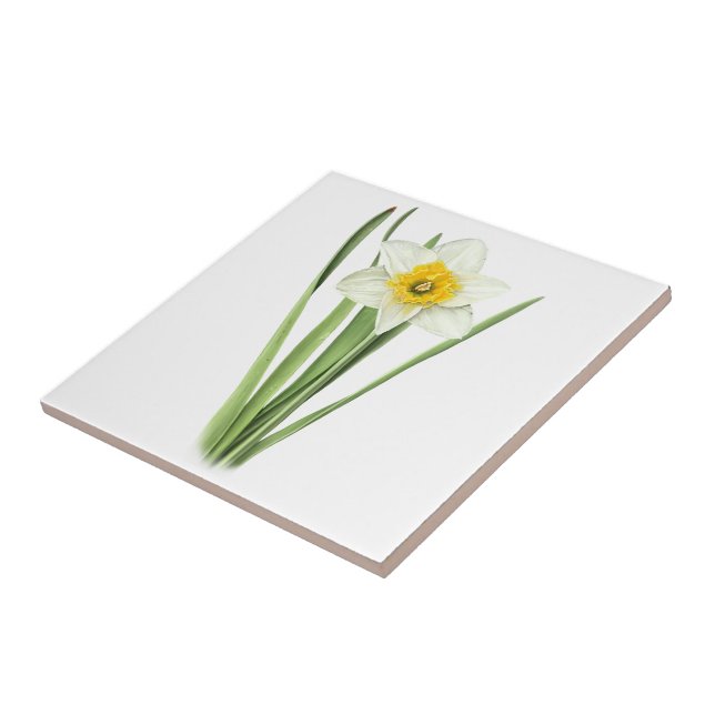 Azulejo Flor de Narciso (Lado)