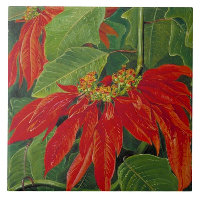 Azulejo Flor de Pascua, pintura famosa, (Frente)