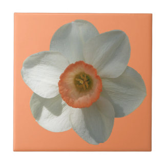 Azulejo Flor de primavera rosada de Daffodil
