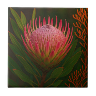 Azulejo Flor de Protea Rosa Exótico Florecer