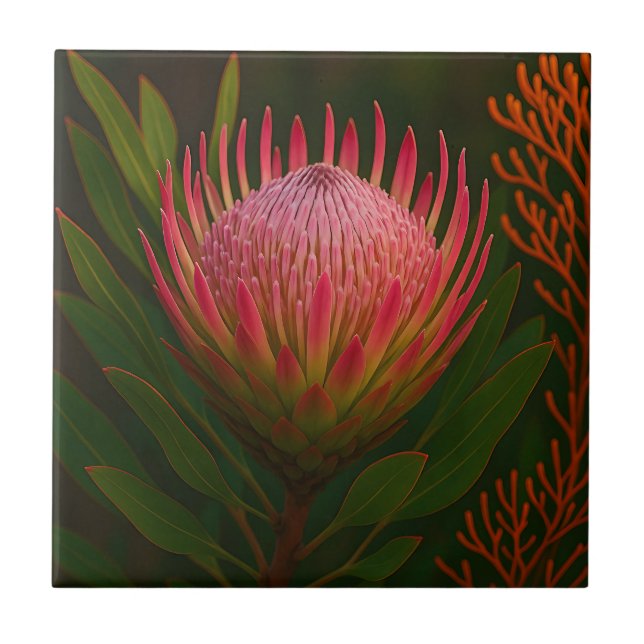 Azulejo Flor de Protea Rosa Exótico Florecer (Frente)