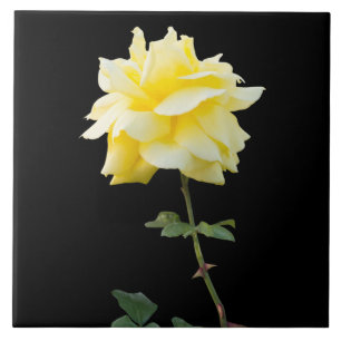 Azulejo Flor de rosa amarilla