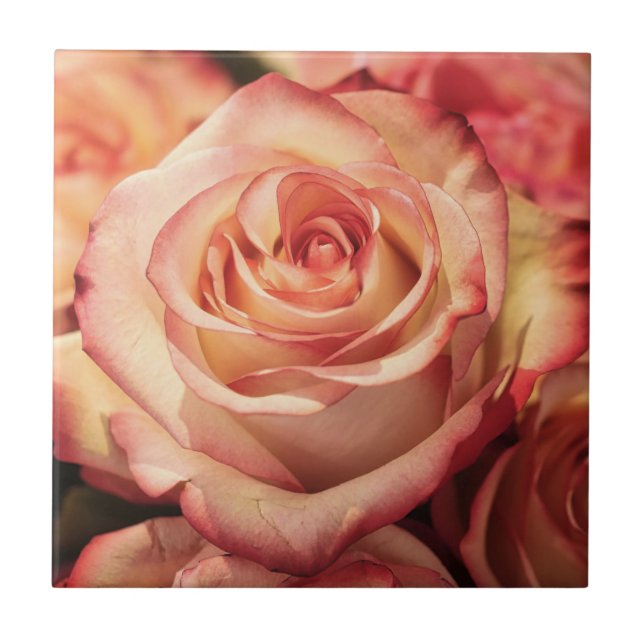 Azulejo Flor de Rosa de bolas (Frente)