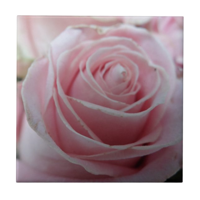 Azulejo Flor de Rosa suave (Frente)