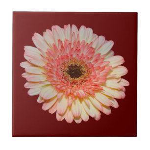 Azulejo Flor germinal rosa simple