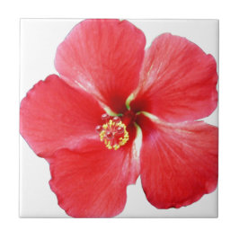 Azulejo Flor hibiscus roja de Hawái
