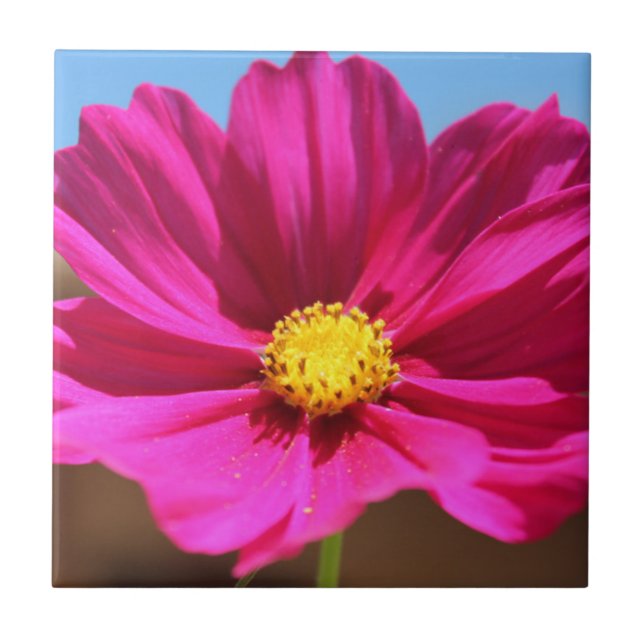 Azulejo Flor Magenta (Frente)