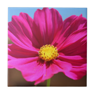 Azulejo Flor magenta