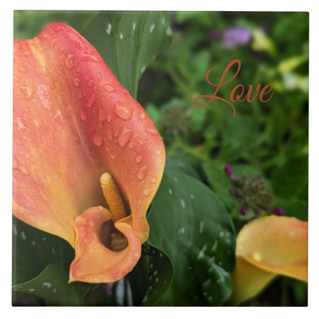 Azulejo Flor matutina (Frente)