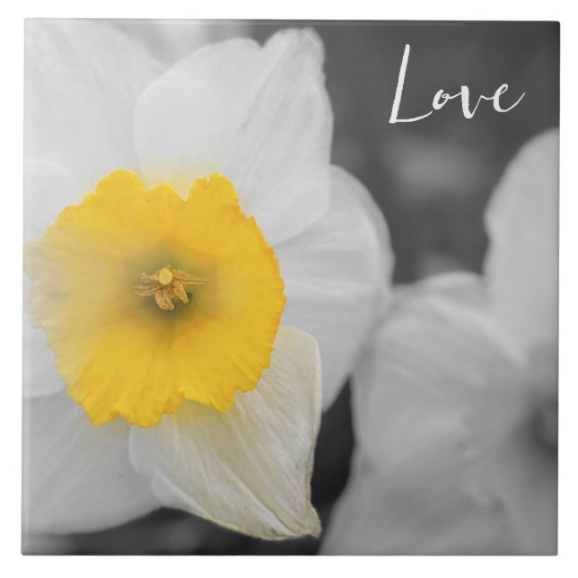 Azulejo Flor matutina enamorada (Frente)