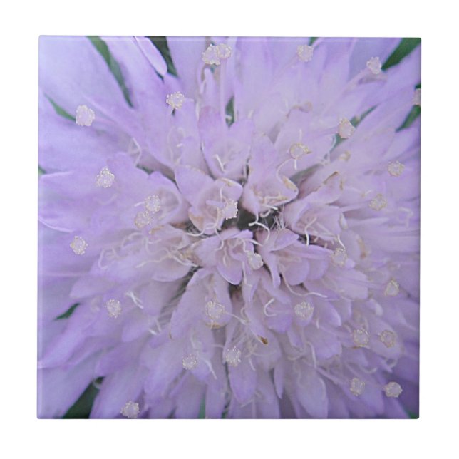 Azulejo Flor morada (Frente)