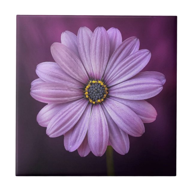 Azulejo Flor morada en flor (Frente)