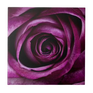 Azulejo Flor morada Rosa