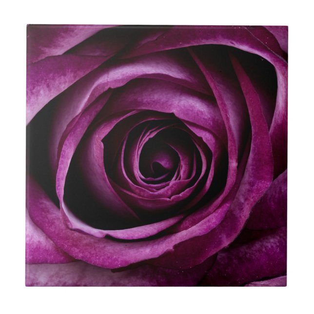 Azulejo Flor morada Rosa (Frente)
