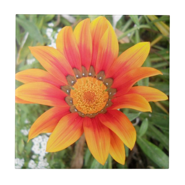 Azulejo Flor Naranja Única (Frente)