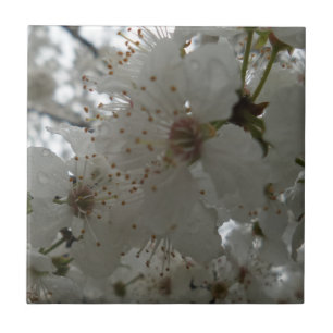 Azulejo Flor Pequeña (4,25" x 4,25") Tejido de fotografía 