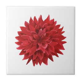 Azulejo Flor roja acuática