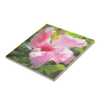 Azulejo Flor rosa hibiscus