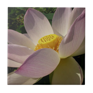 Azulejo Flor rosa Lotus III flor de verano