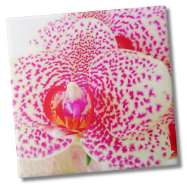 Azulejo Flor rosa orquídea moderna