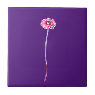 Azulejo Flor rosa pálido morado gerbera roja