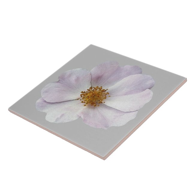 Azulejo Flor rosa pequeña (Lado)