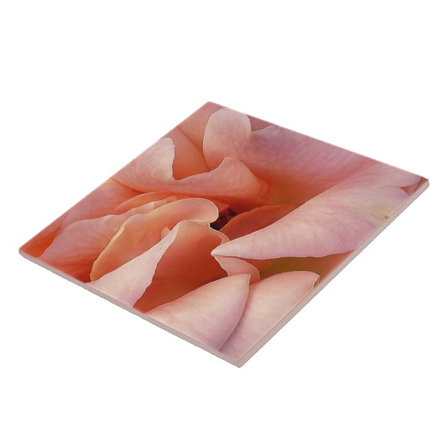 Azulejo flor rosa rosa rosa rosa (Lado)