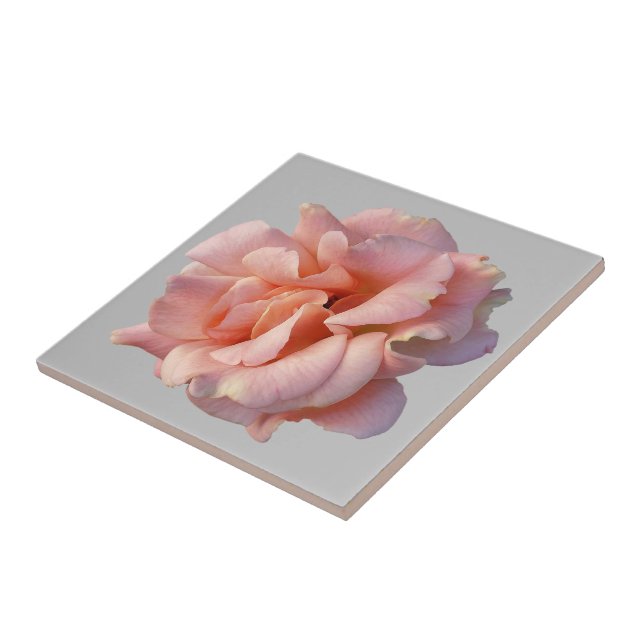 Azulejo flor rosa rosa rosa rosa (Lado)