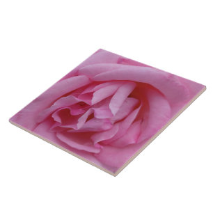 Azulejo Flor rosa rosada