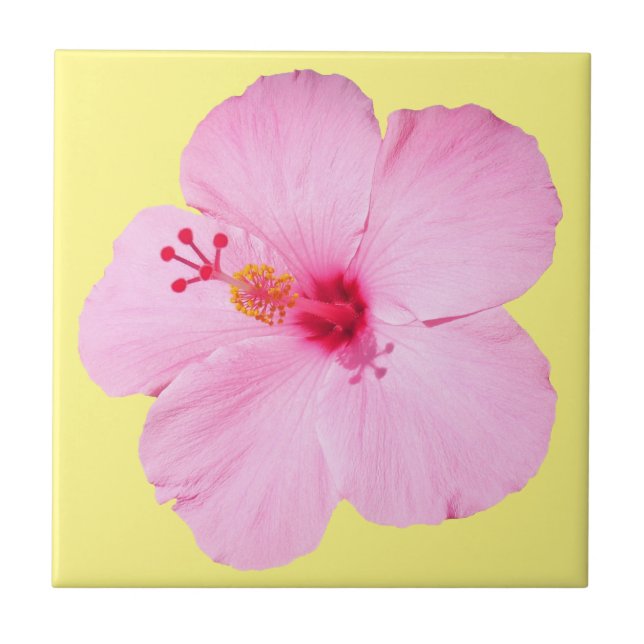 Azulejo Flor tropical Hibiscus rosa (Frente)