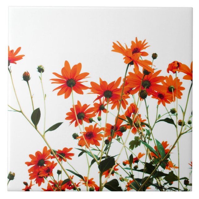 Azulejo floral (Frente)