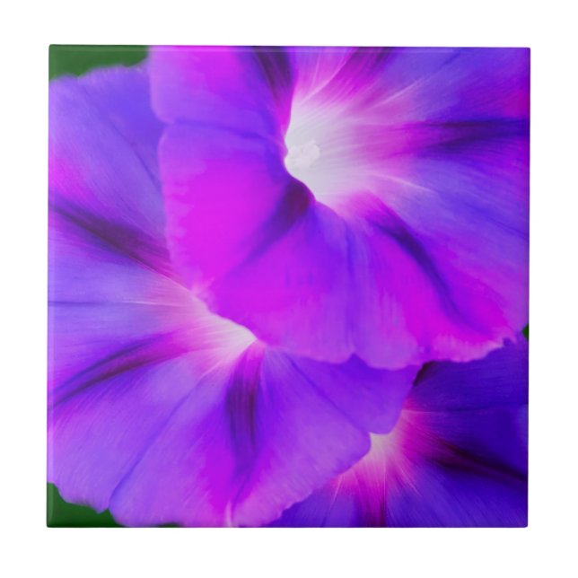 Azulejo Floral Blanco Púrpura  (Frente)