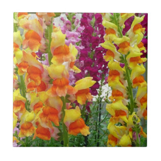 Azulejo Floral colorida de Snapdragons