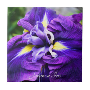 Azulejo Floral de iris nipona morada